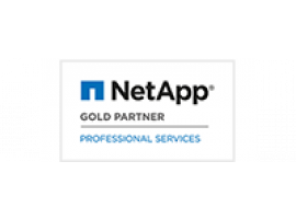 NetApp Gold Partner